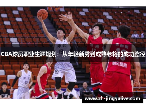 CBA球员职业生涯规划：从年轻新秀到成熟老将的成功路径